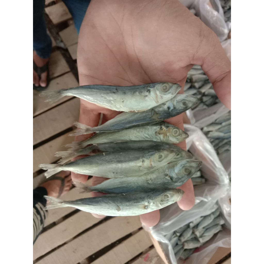 

Ikan asin layang kering / peda layang isi 1kg