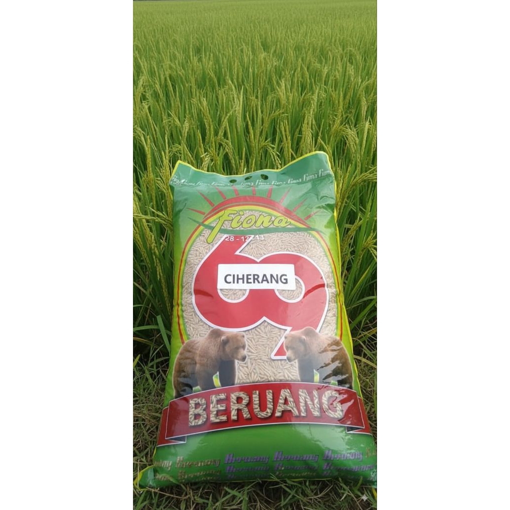 Benih padi Ciherang Beruang  original 5 kg