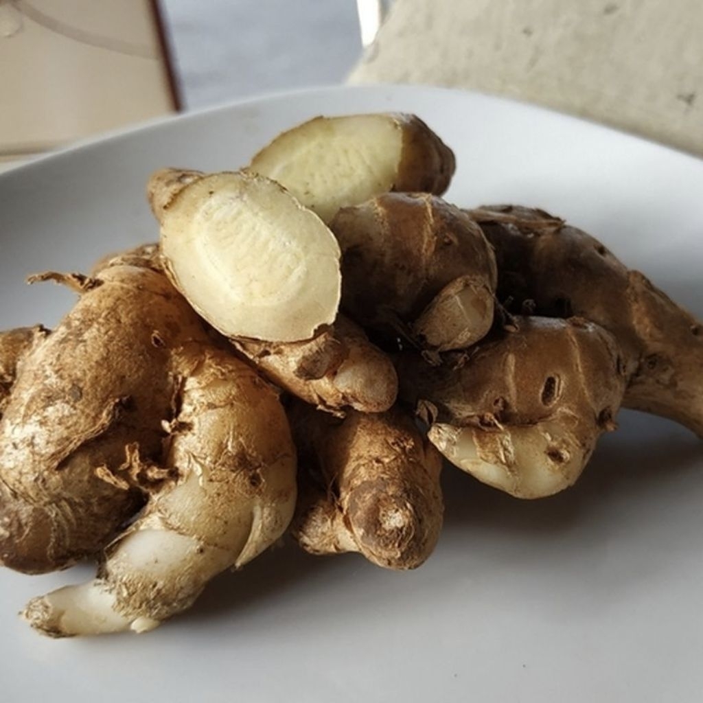 

KENCUR Cikur Bumbu Rempah Segar Fresh per 100g