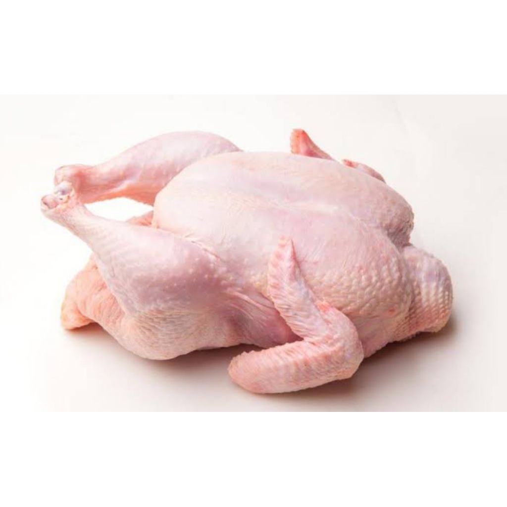 Ayam Broiler Frozen promo