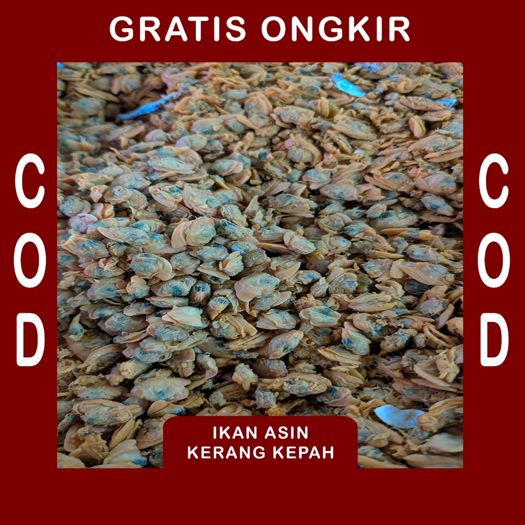

Kerang Kepah Super Pilihan Premium Siap Goreng Best Seller Kemasan Vakum 1kg