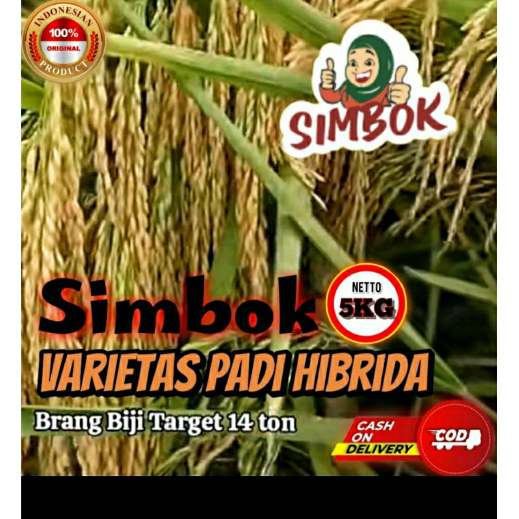 benih padi asli simbok ( 5.KG )