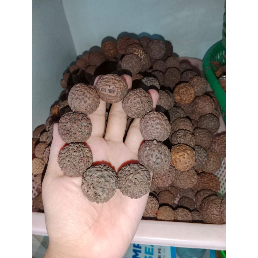 Gelang biji jenitri jumbo