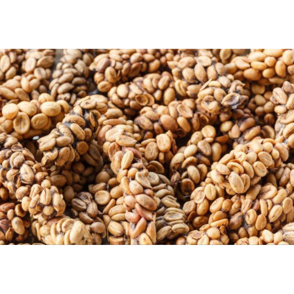 

Paket Usaha Kopi Luwak Asli 100% 15kg