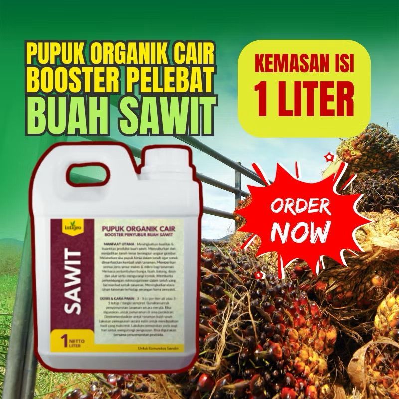 Pupuk Sawit Agar Buah Lebat dan Pupuk Pelebat Sawit Cepat Berbuah