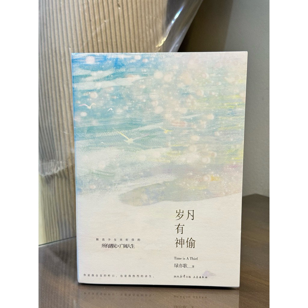 Time is a Thief Suìyuè yǒu shéntōu Sui Yue You Shen Tou by Lü Yi Ge Lu Yi Ge