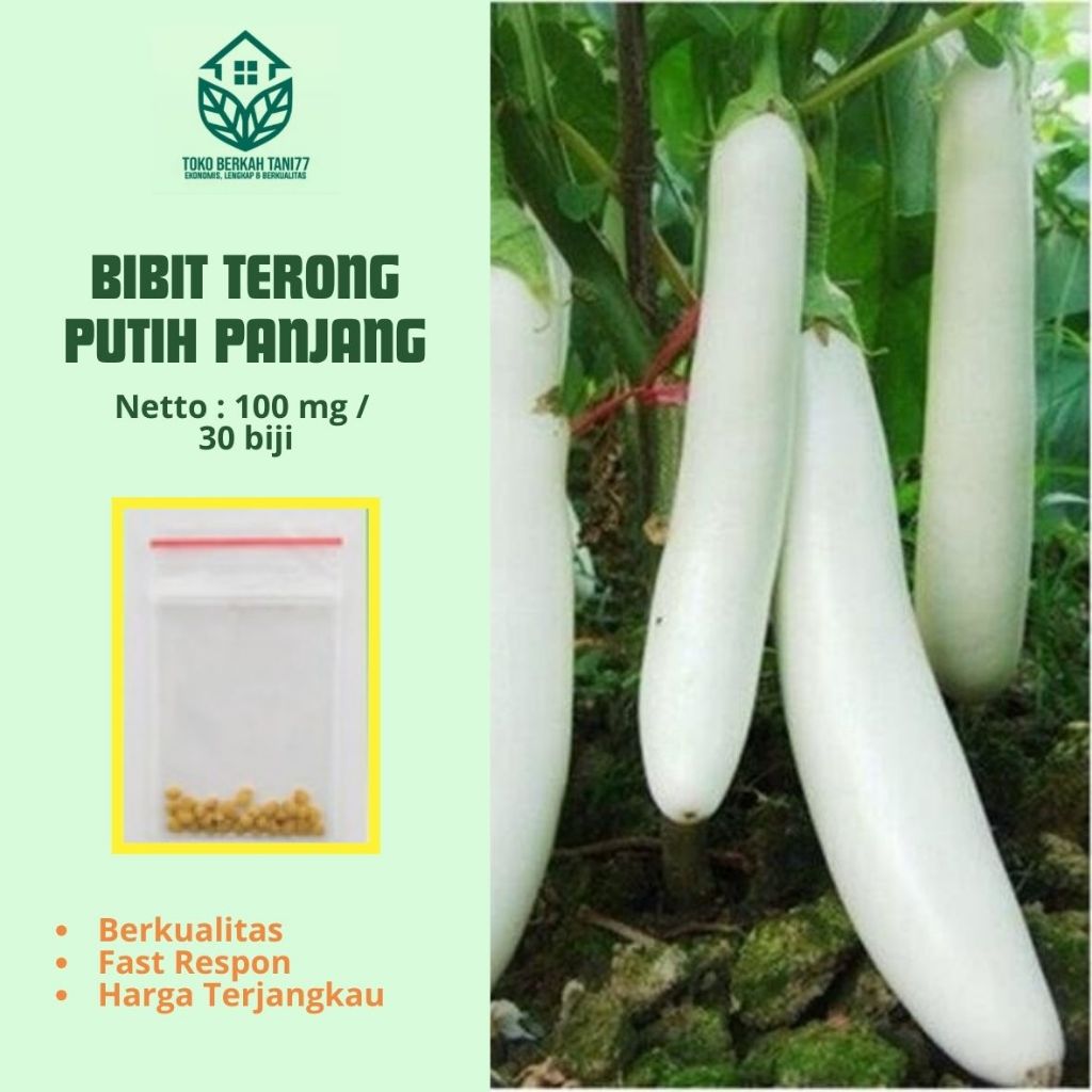 Benih Terong Putih Panjang Bibit Terong Putih Panjang Sayuran Unggul -Tanaman Sayur Berkualitas