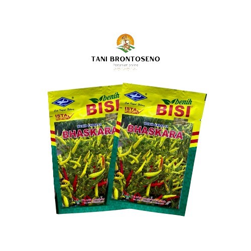 Benih cabe rawit putih hibrida BHASKARA F1 10 gram cabai baskara f1 10gr dari bisi chia tai