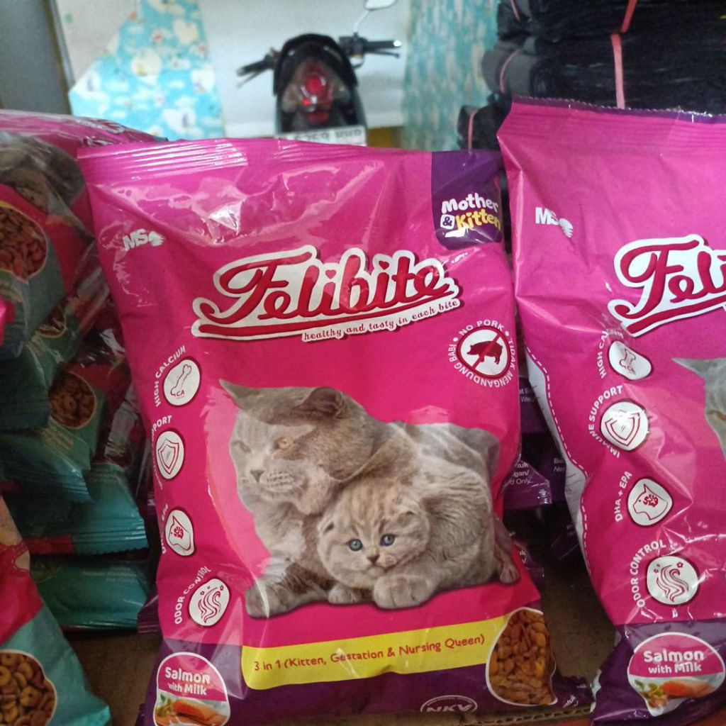 felibite mother kitten