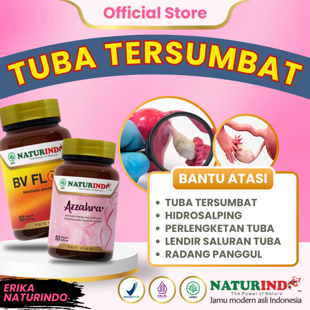 Herbal Tuba Falopi Tersumbat Hidrosalping Penyumbatan Saluran Tuba Falopi ERIKA NATURINDO