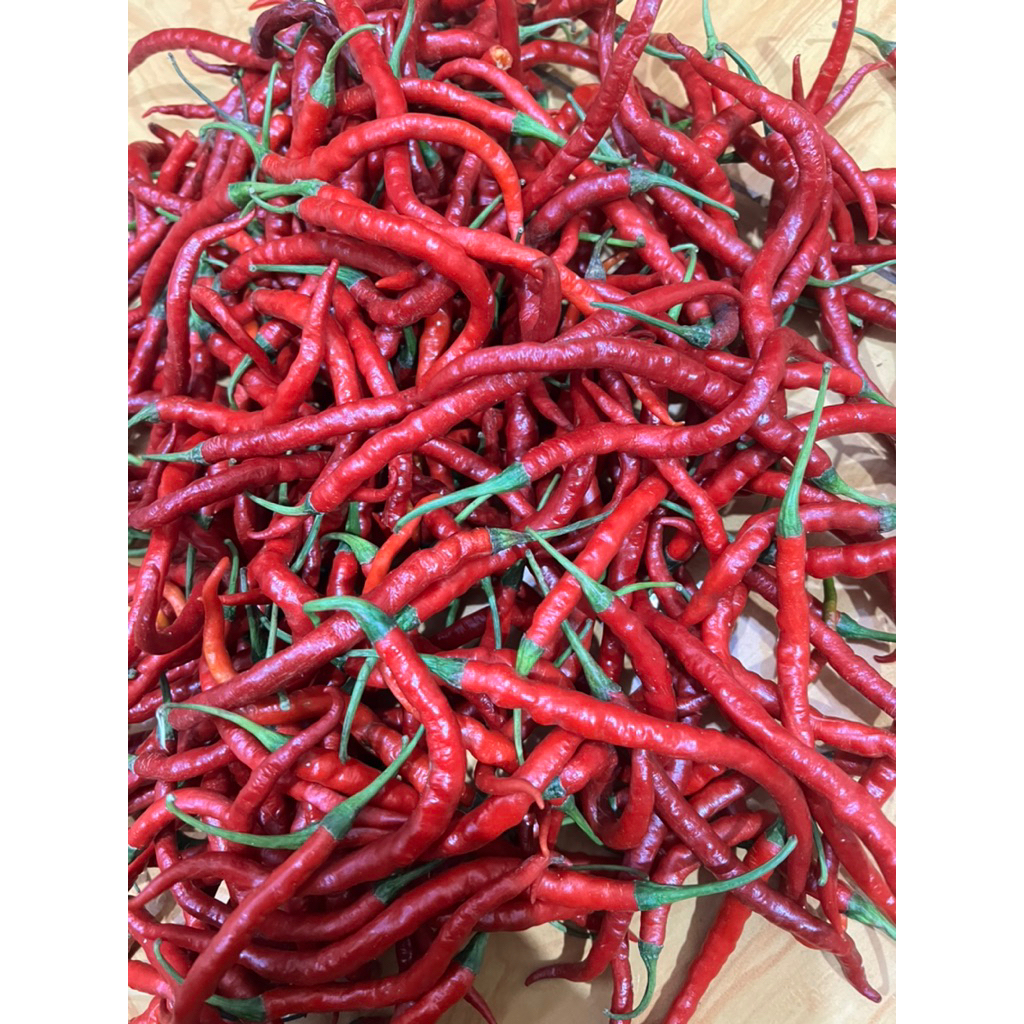 

CABE KERITING TAMPAR 1 kg..MAX CO 1kg (wajib baca deskripsi)