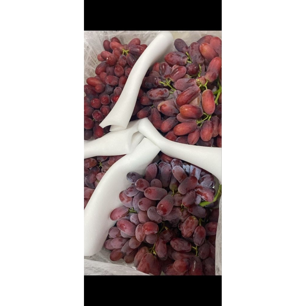 

ANGGUR MANIS. TABLE GRAPES. MERAH. ANGGUR ENAK GARING FRESH