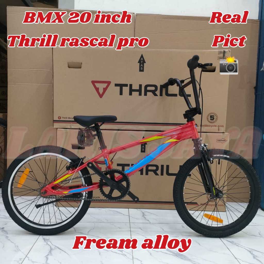 Sepeda Bmx 20 Thrill Rascal Pro Frame Alloy TERBARU