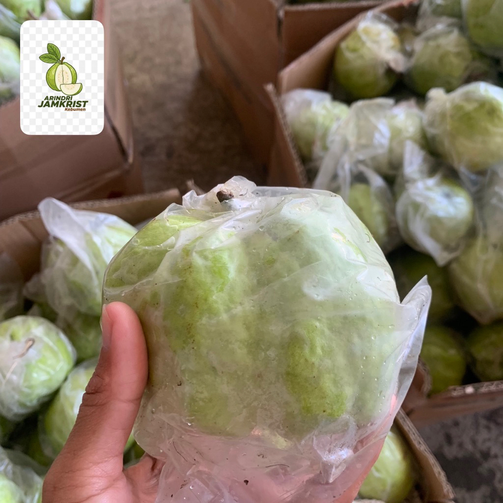 

jambu kristal kebumen berat 1 kg