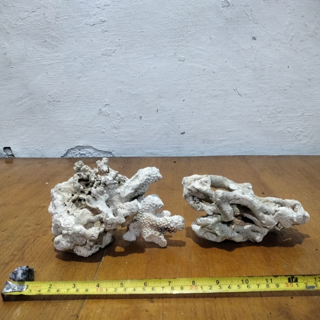 batu karang laut karang asli dead rock hiasan aquarium aquascape 1 kg