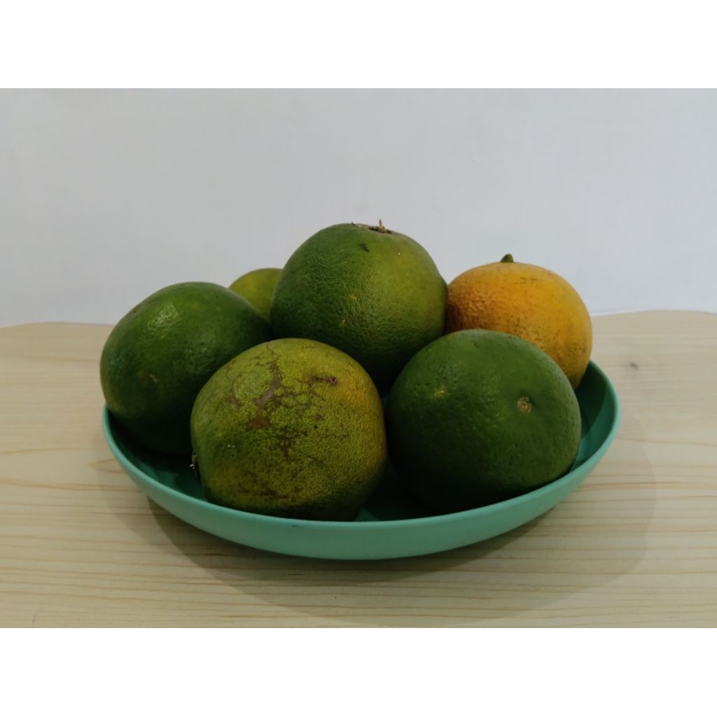 

Jeruk Baby/Jeruk Iris Malang