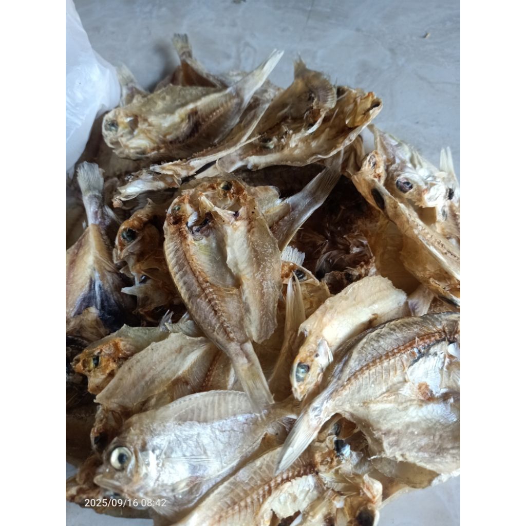 

ikan kering jenis kuningan