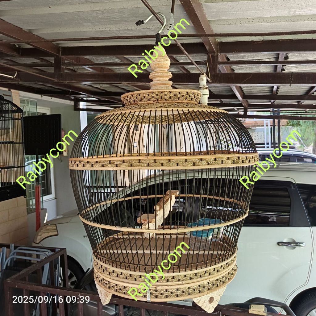 Kandang Burung Perkutut Puter Pelung Tekukur Derkuku Kelantan Sangkar Anyaman Rotan Rajut