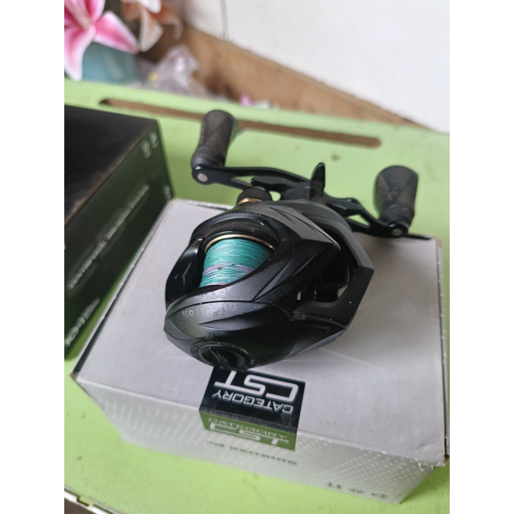 kasking valiant eagle