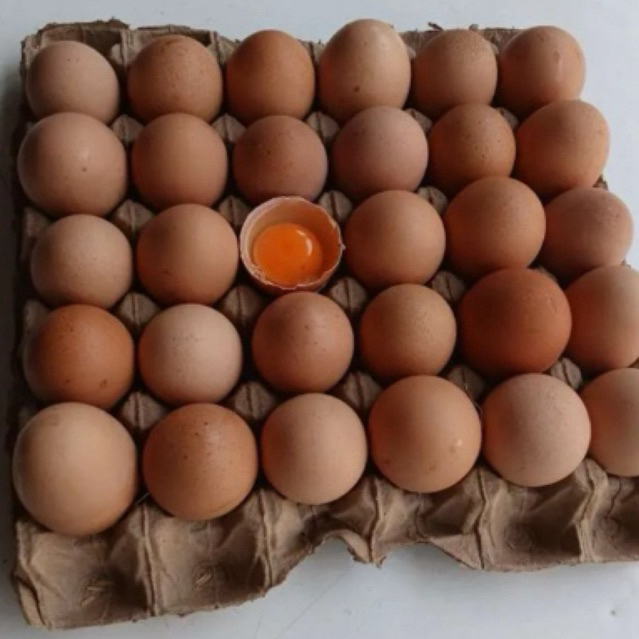 

Telur ayam negri "Omega" (500gr)