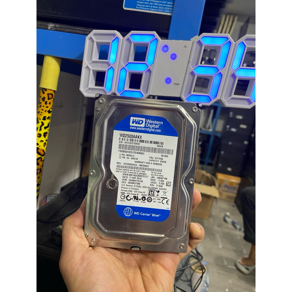 HARDISK PC 250 GB SENTINEL 100%