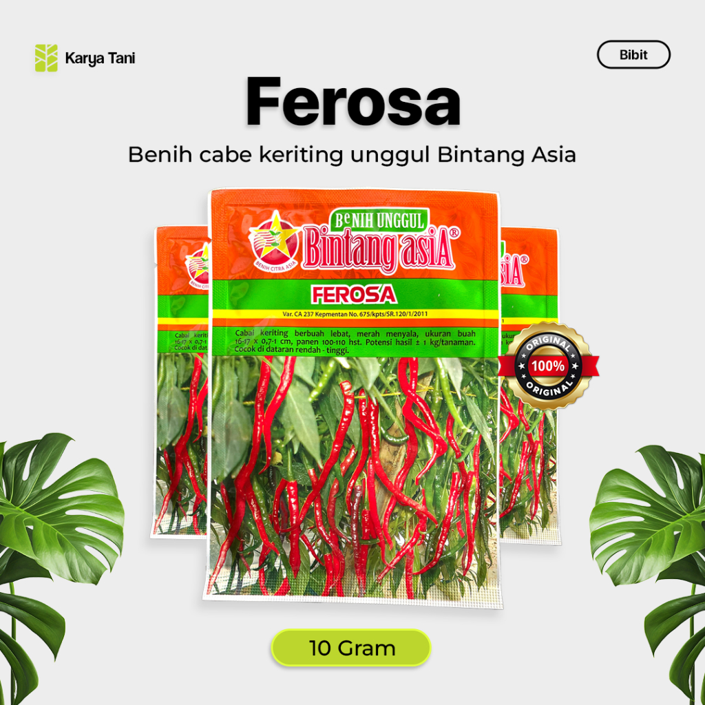 Benih Cabe Keriting Ferosa 10 Gram Bintang Asia Cabai Keriting