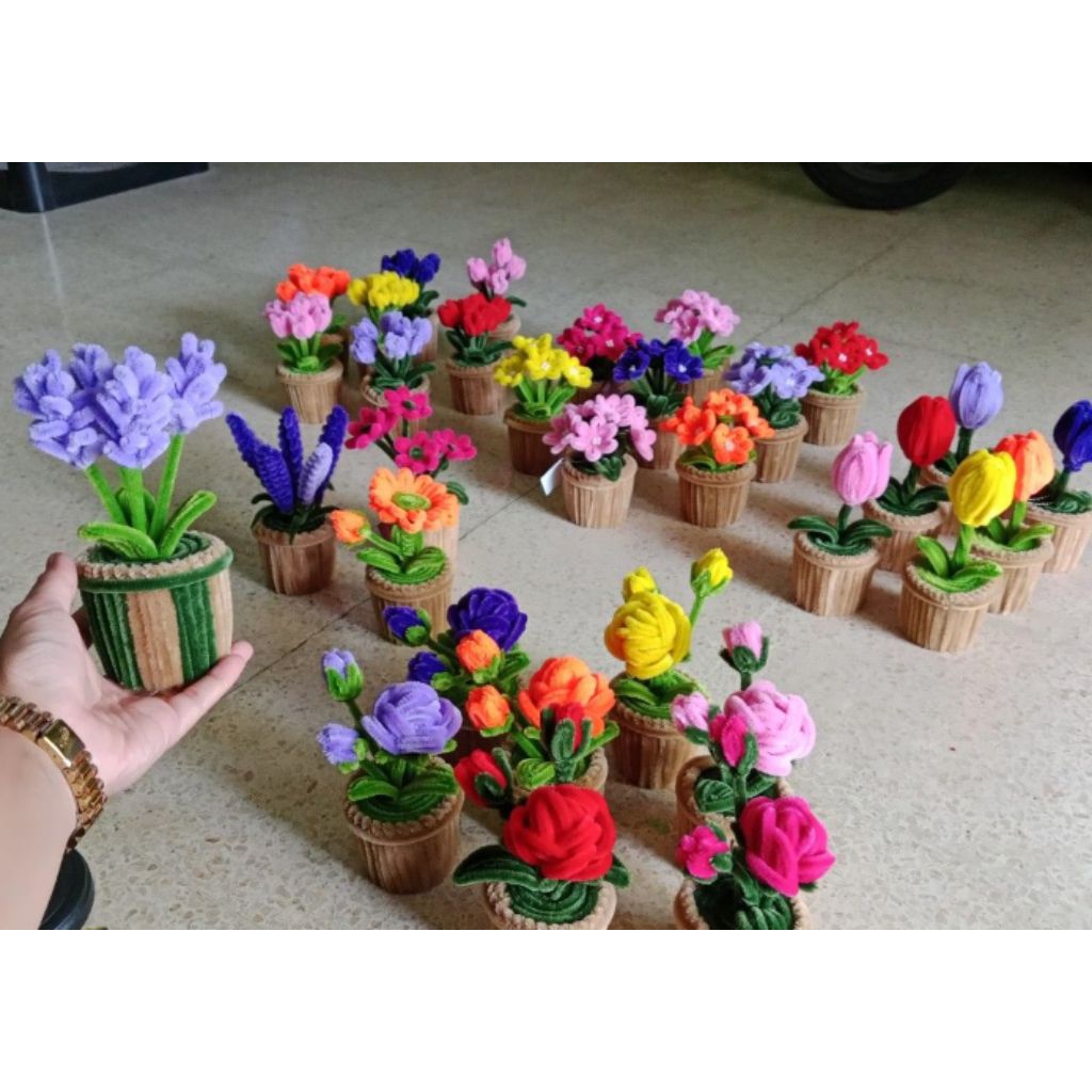 macam macam bunga hias