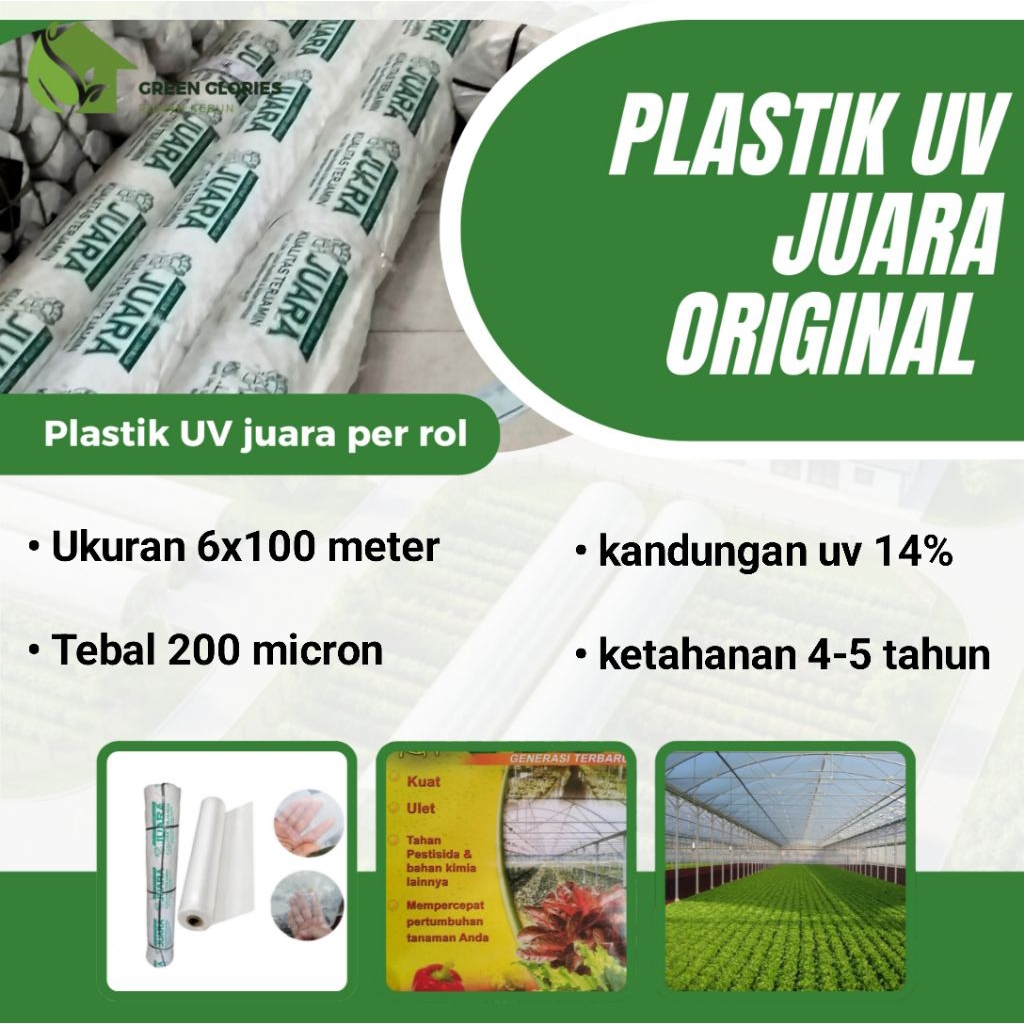 Plastik UV JUARA Uk. 6x100 meter, Ketebalan 200 micron