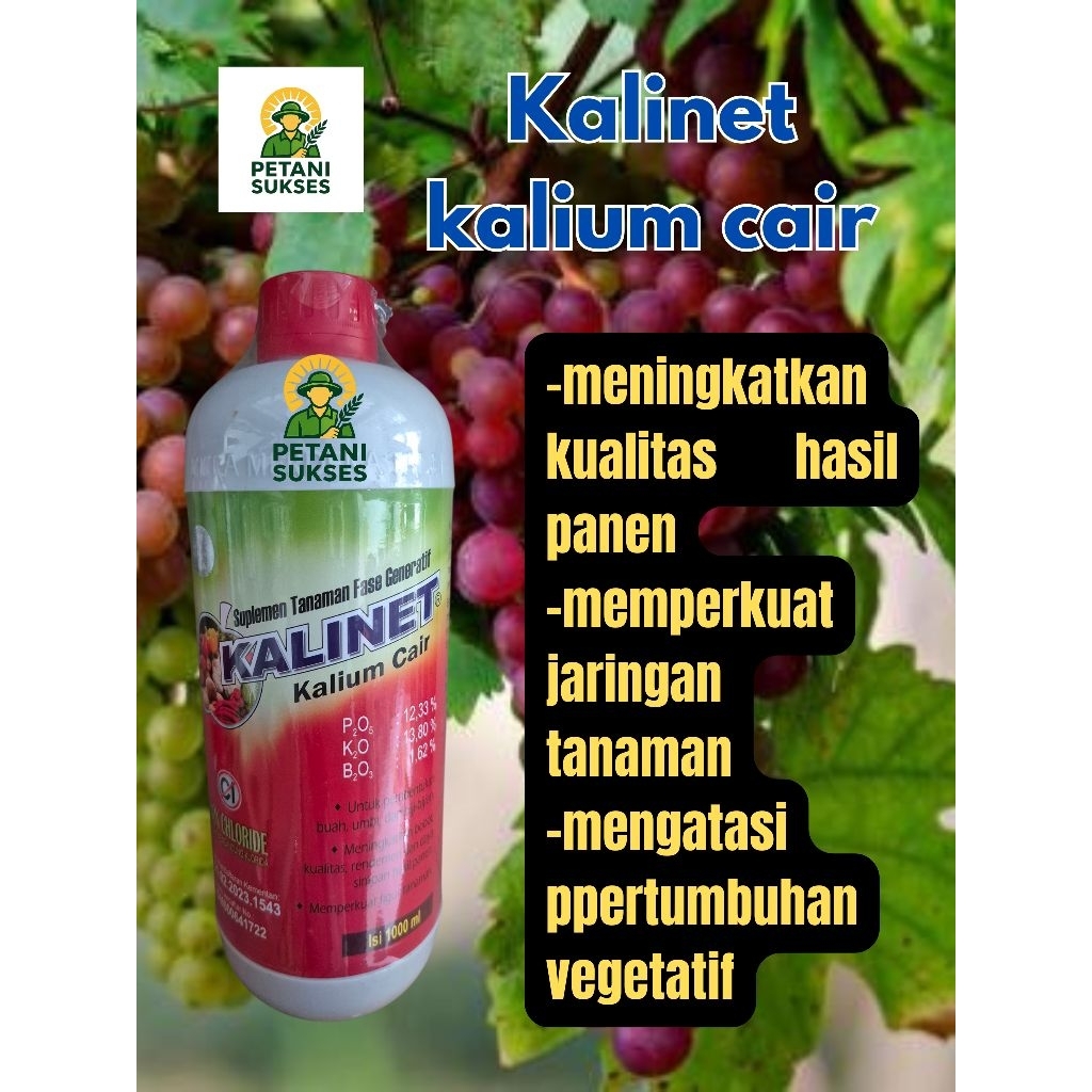 KALINET 1 LITER