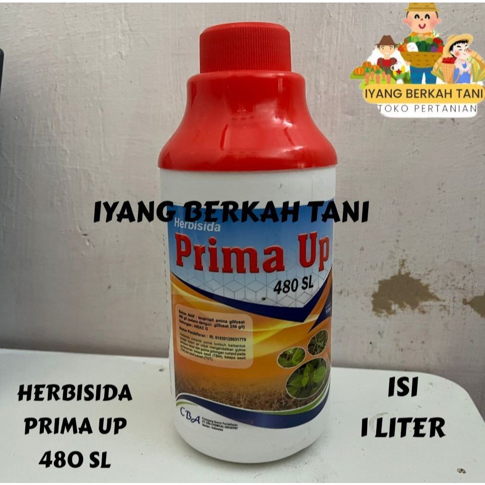 Obat rumput prima up 1 liter