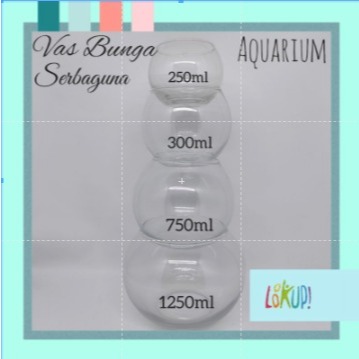 Vas Bunga Kaca bulat/Pot Tanaman Air Hidroponik Hias/Tempat Ikan Cupang/tempat kaca bulat serbaguna