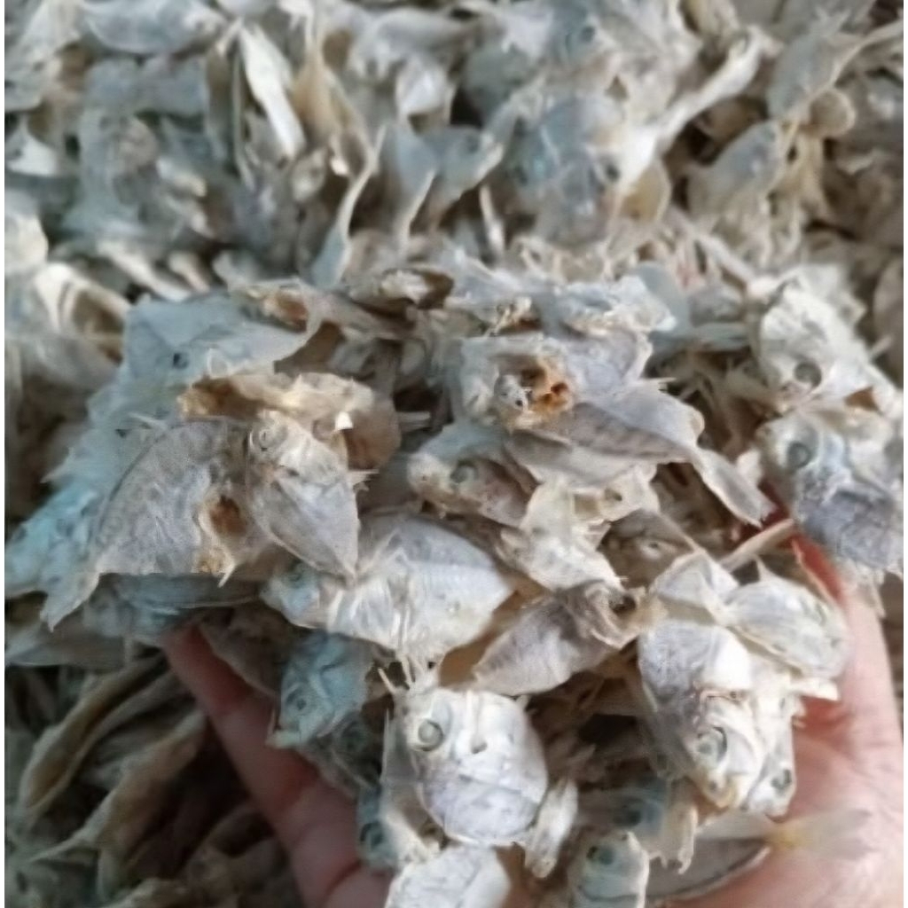 Ikan Asin Petek Kecil Ikan Asin Peyek 100 gram Ikan Asin Kering