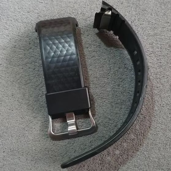 STRAP CASIO PROTREK WSD-F20 ORIGINAL