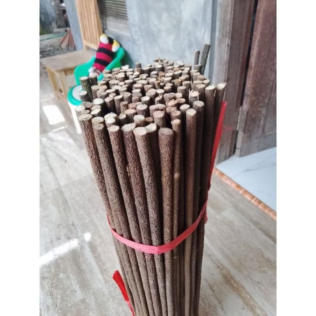 Tangkringan burung murai asem Bali super original ready stok (1pcs)