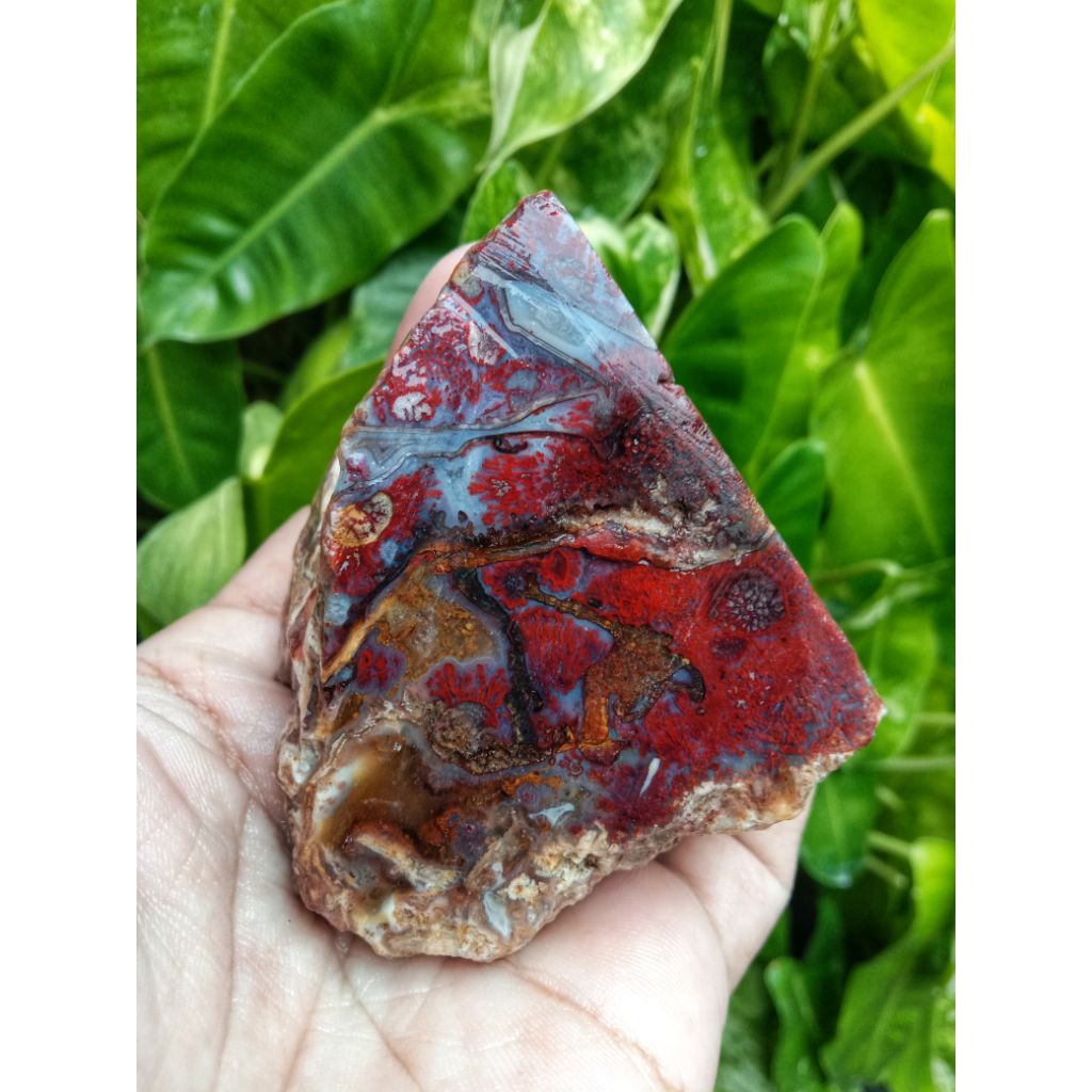 Rough Bahan Lumut Merah Suliki Motif