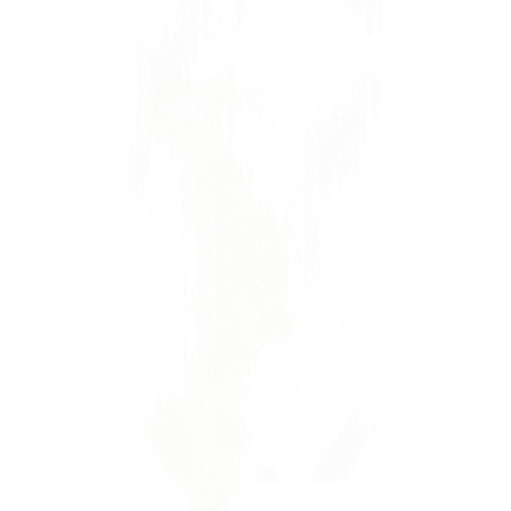 TACO HPL Woodgrain Textured TH 02 KY - White Woodgrain