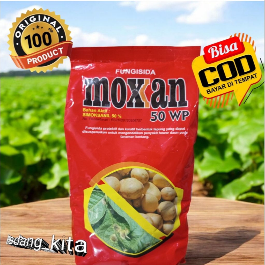 FUNGISIDA MOXAN 50 WP - 500 GRAM SIMOXSANIL 50 %