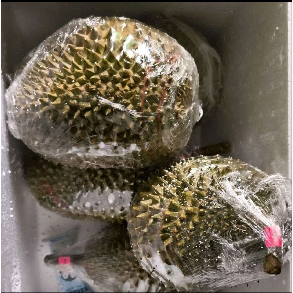 

Buah durian musang king fresh asli Malaysia -+2kg