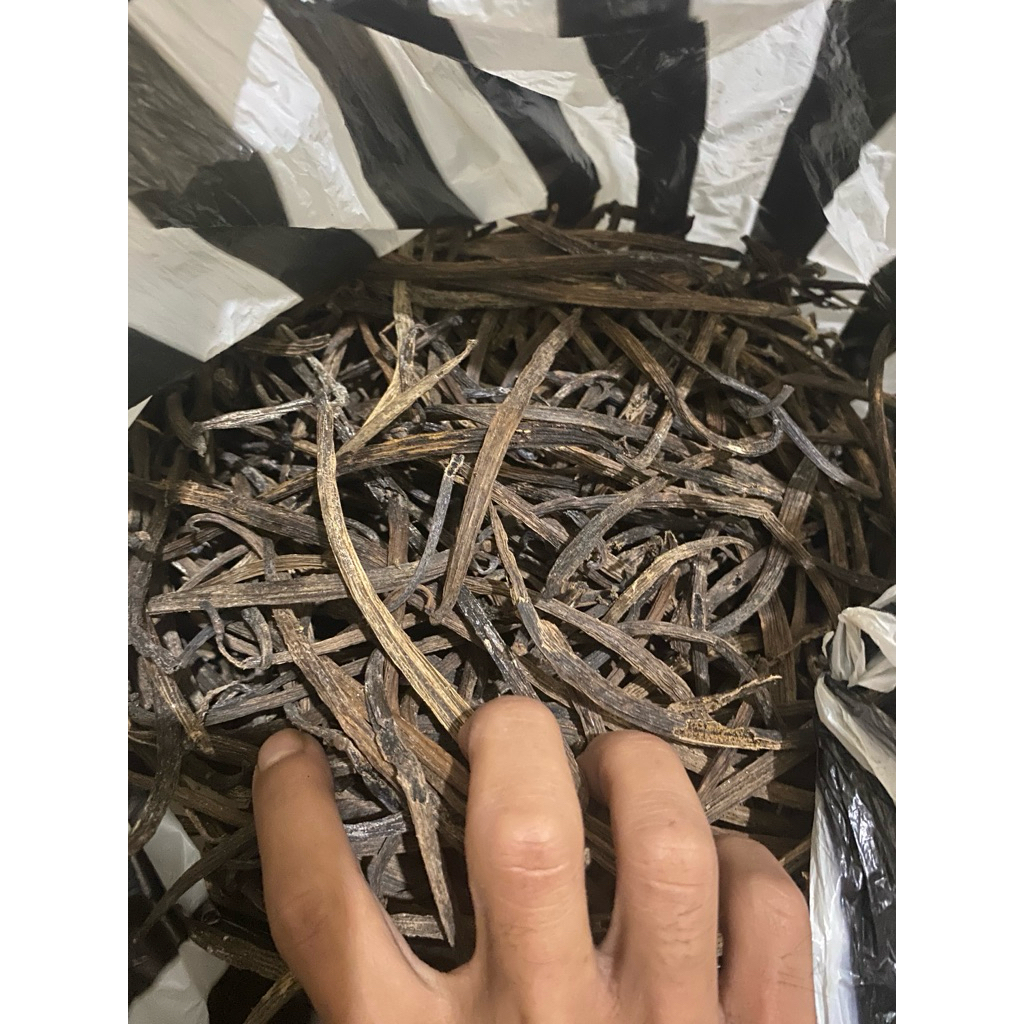 VANILI KERING KUALITAS PREMIUM