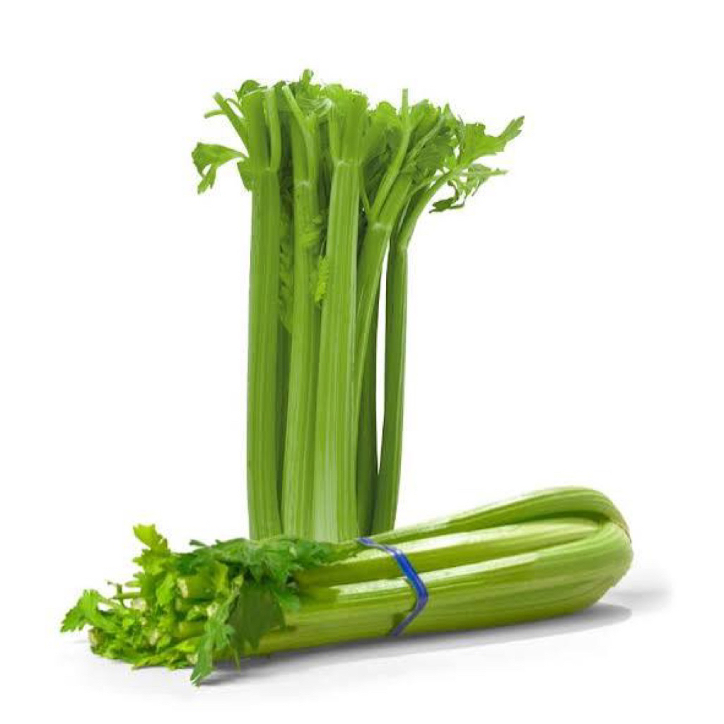 Seledri stick import / celery / seledri stik / seledri stick impor termurah