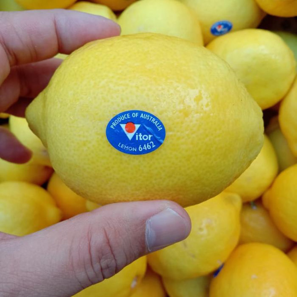 Buah jeruk Lemon australia / lemon import / lemon import termurah