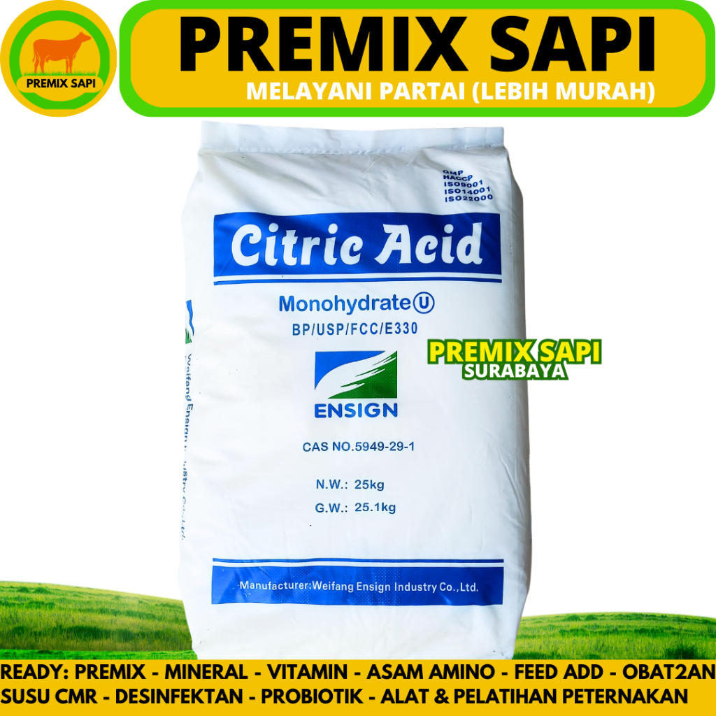 CITRIC ACID MONOHYDRATE 25 KG (KHUSUS KURIR INSTAN) - Sitrun Citrun Makanan Asam Sitrat Citrun Acid