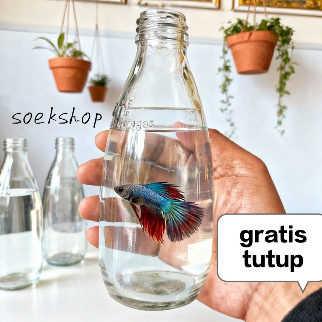 Tempat Ikan Cupang Unik – Botol Kaca 250ml Zoda (Kaca Jernih, Aman & Estetik