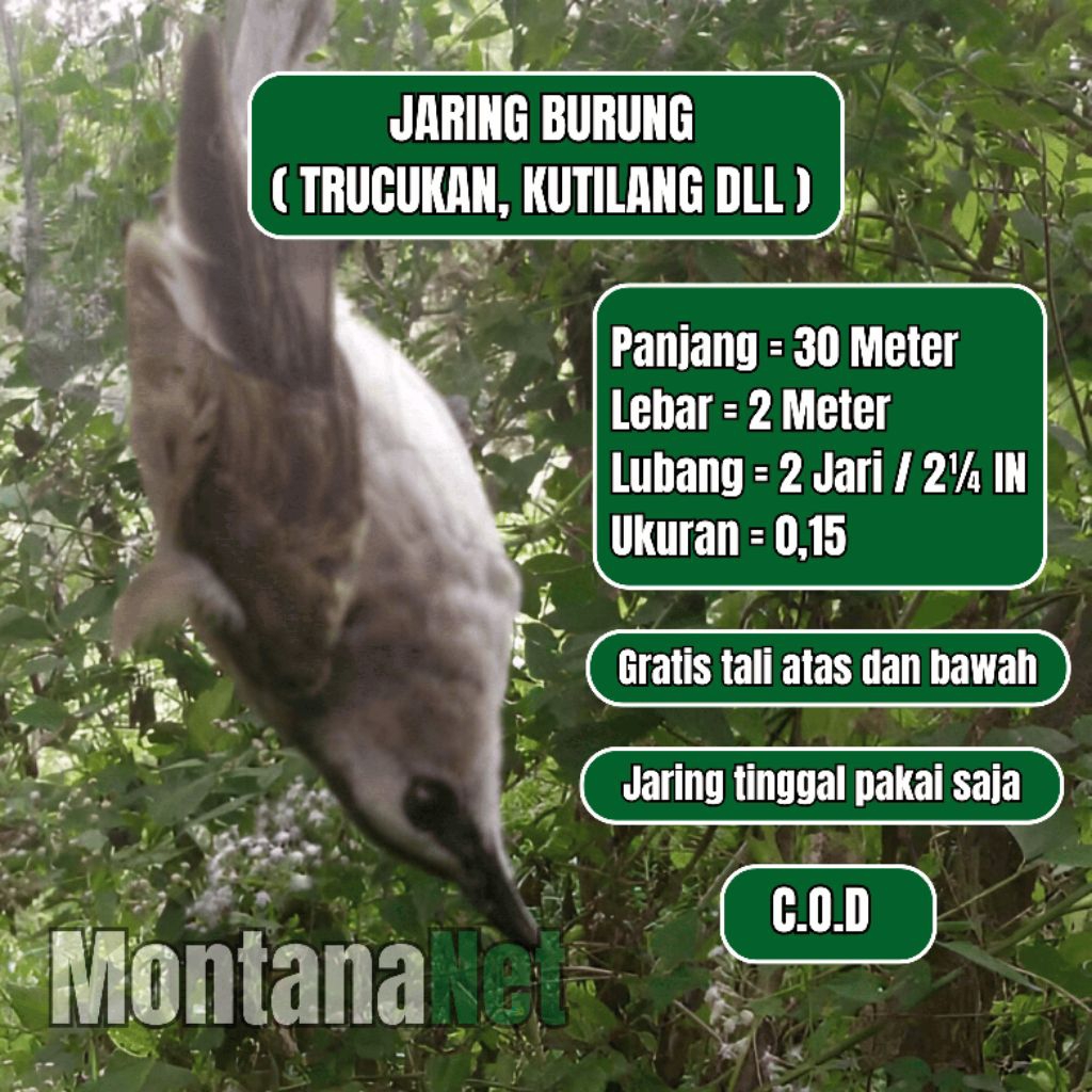 JARING TRUCUKAN JARING PERKUTUT JARING KELELAWAR SIAP PAKAI