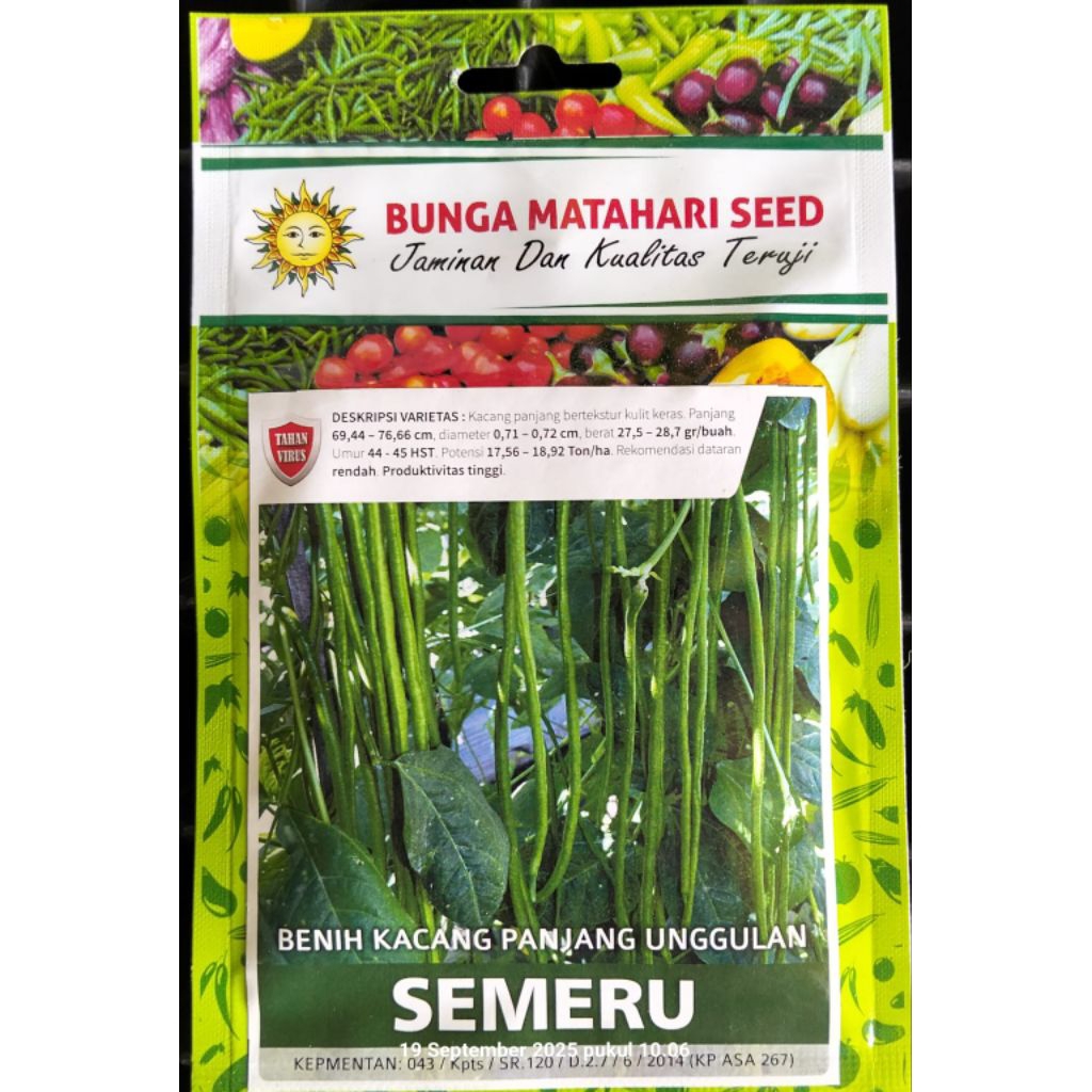 BENIH KACANG PANJANG SEMERU 150 BUTIR