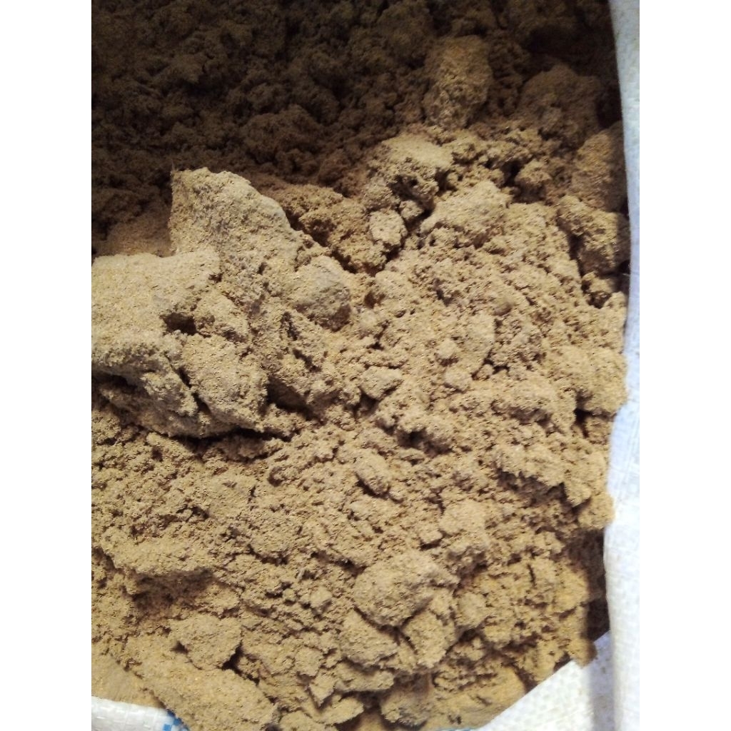 Tepung Ikan murni protein tinggi