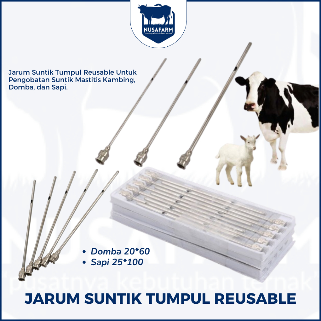 Jual Jarum Mastitis Jarum Suntik Tumpul Reusable Pengobatan Mastitis Sapi Kambing Domba Bisa Cod