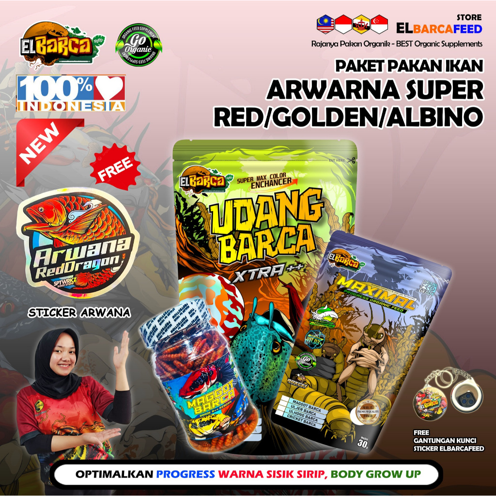 PAKET PAKAN IKAN ARWANA Super red, Golden, Albino, Silver optimalkan pertumbuhan ikan arwana