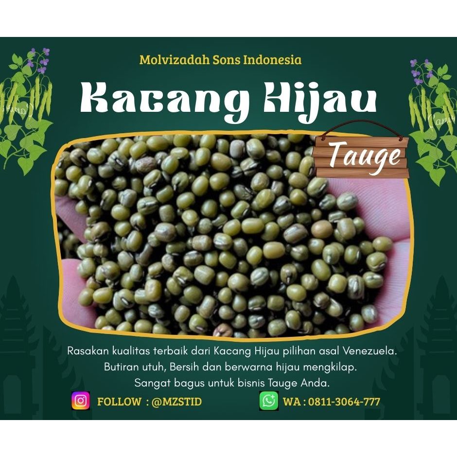 Kacang Hijau Tauge Gilap 1kg