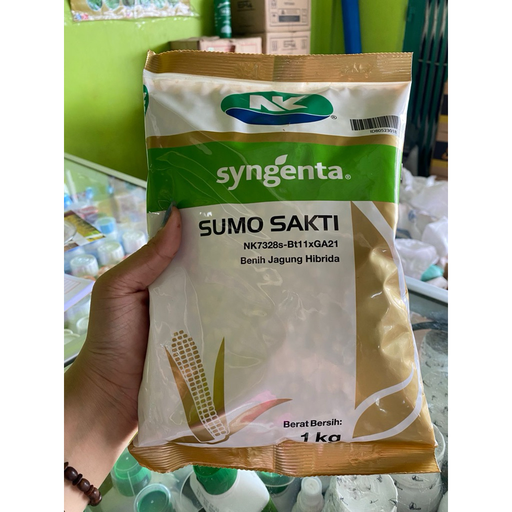 Benih jagung syngenta sumo sakti